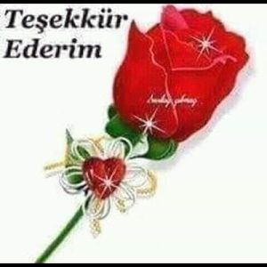 Meet your Posher, Mirela